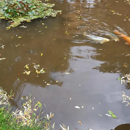 La Gasteboisiere With Swimming Pool And Games * Le Mesnil-Adelee