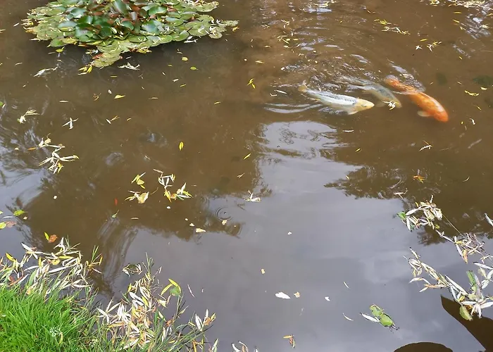 La Gasteboisiere With Swimming Pool And Games * Le Mesnil-Adelee